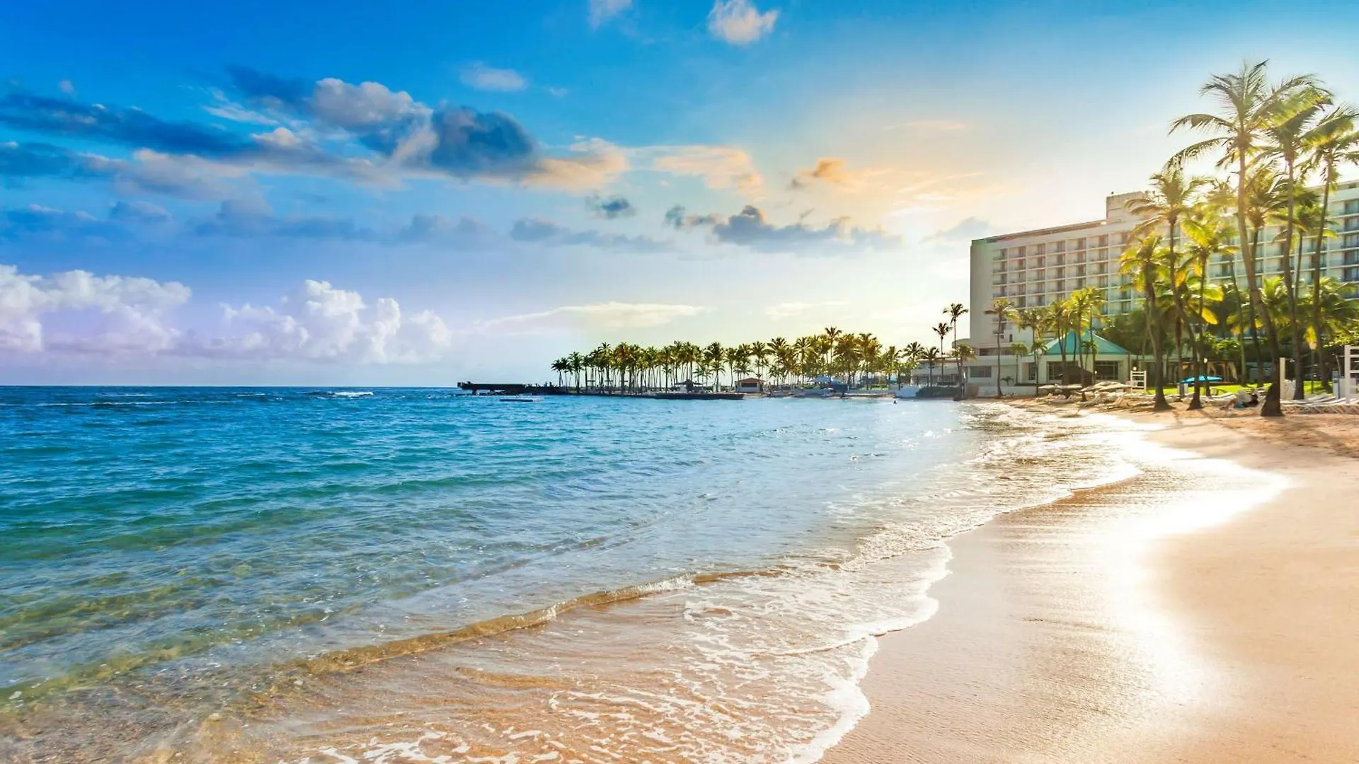 Caribe Hilton contacts